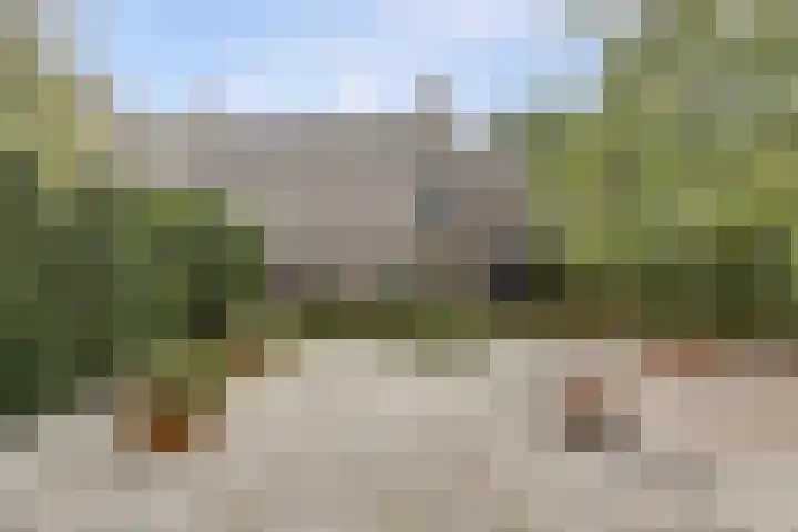 Hoge Startwijk 1 Beugen thumbnail 79