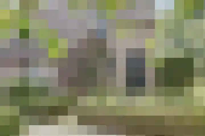 Hoge Startwijk 1 Beugen thumbnail 80