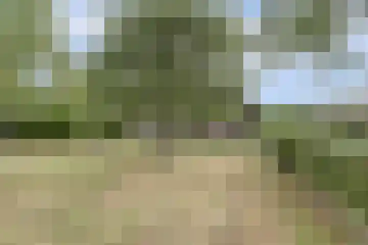 Hoge Startwijk 1 Beugen thumbnail 81