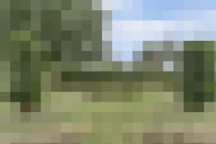 Hoge Startwijk 1 Beugen thumbnail 82