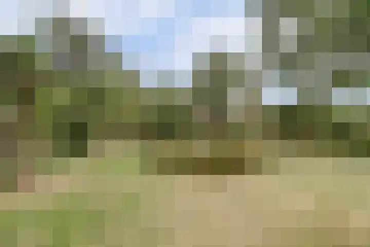 Hoge Startwijk 1 Beugen thumbnail 83
