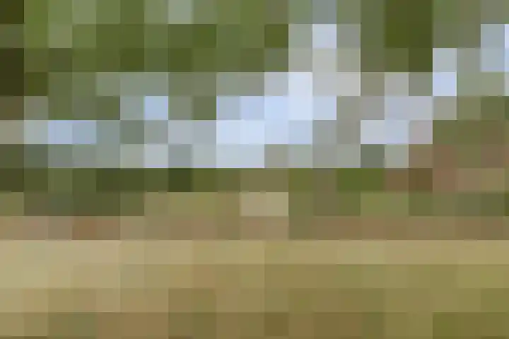 Hoge Startwijk 1 Beugen thumbnail 84
