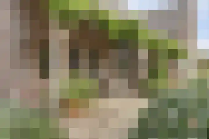 Hoge Startwijk 1 Beugen thumbnail 85