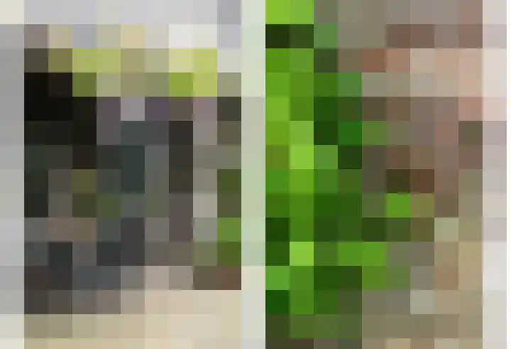 Hoge Startwijk 1 Beugen thumbnail 86