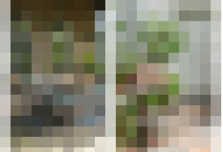 Hoge Startwijk 1 Beugen thumbnail 87