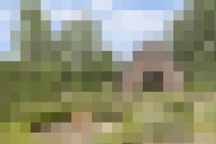Hoge Startwijk 1 Beugen thumbnail 88