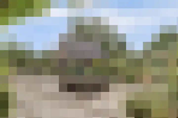 Hoge Startwijk 1 Beugen thumbnail 89