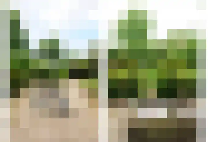 Hoge Startwijk 1 Beugen thumbnail 90