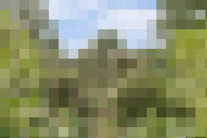 Hoge Startwijk 1 Beugen thumbnail 91