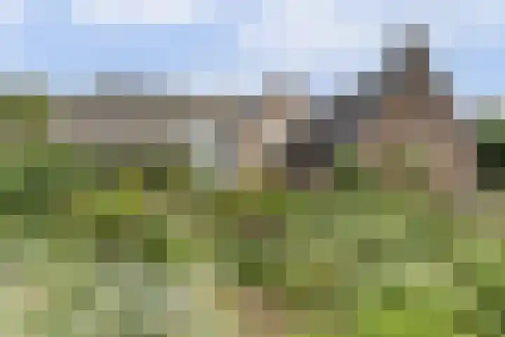 Hoge Startwijk 1 Beugen thumbnail 92