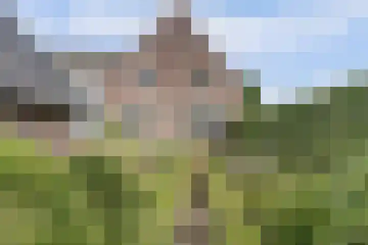 Hoge Startwijk 1 Beugen thumbnail 93