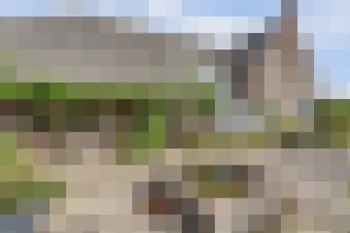 Hoge Startwijk 1 Beugen thumbnail 94