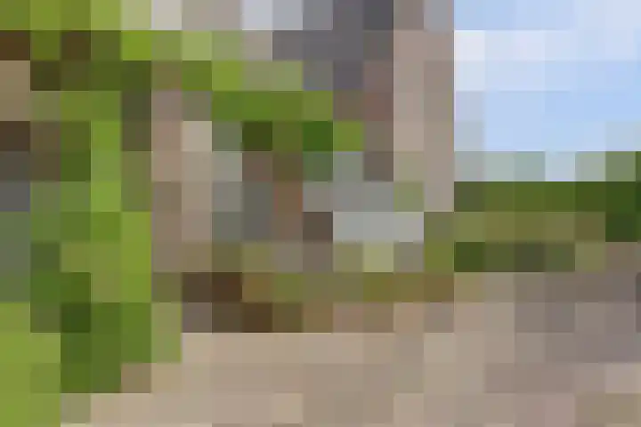 Hoge Startwijk 1 Beugen thumbnail 95