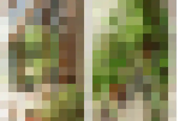 Hoge Startwijk 1 Beugen thumbnail 96