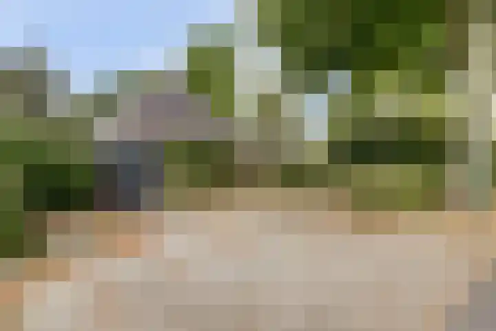 Hoge Startwijk 1 Beugen thumbnail 97