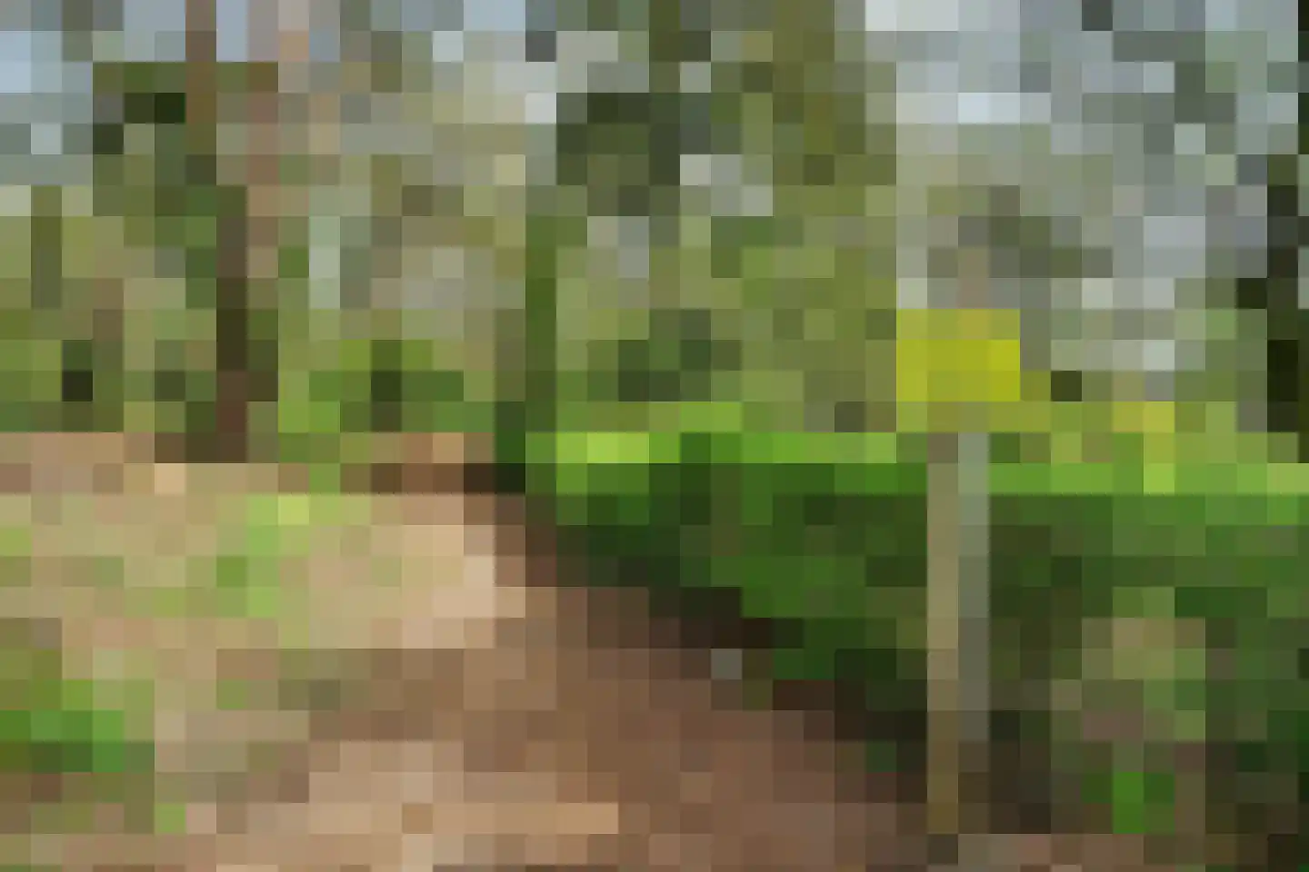 Hoge Steenweg 130 Loon op Zand thumbnail 37