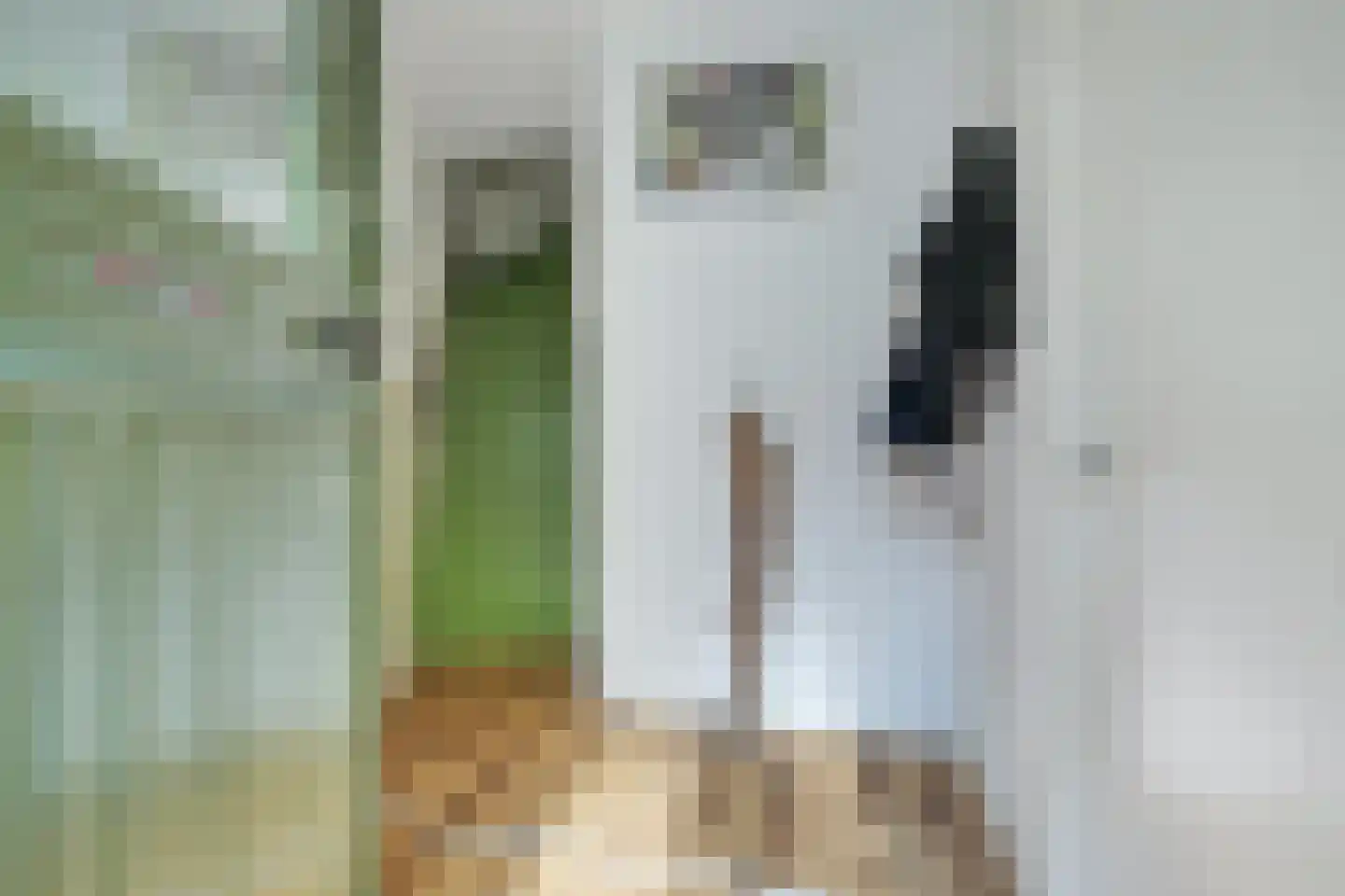 Hoge Steenweg 17 Breda thumbnail 14