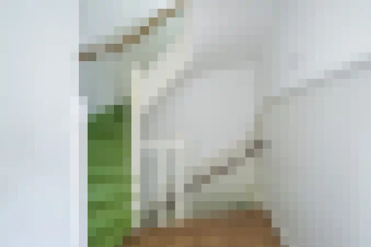 Hoge Steenweg 17 Breda thumbnail 21