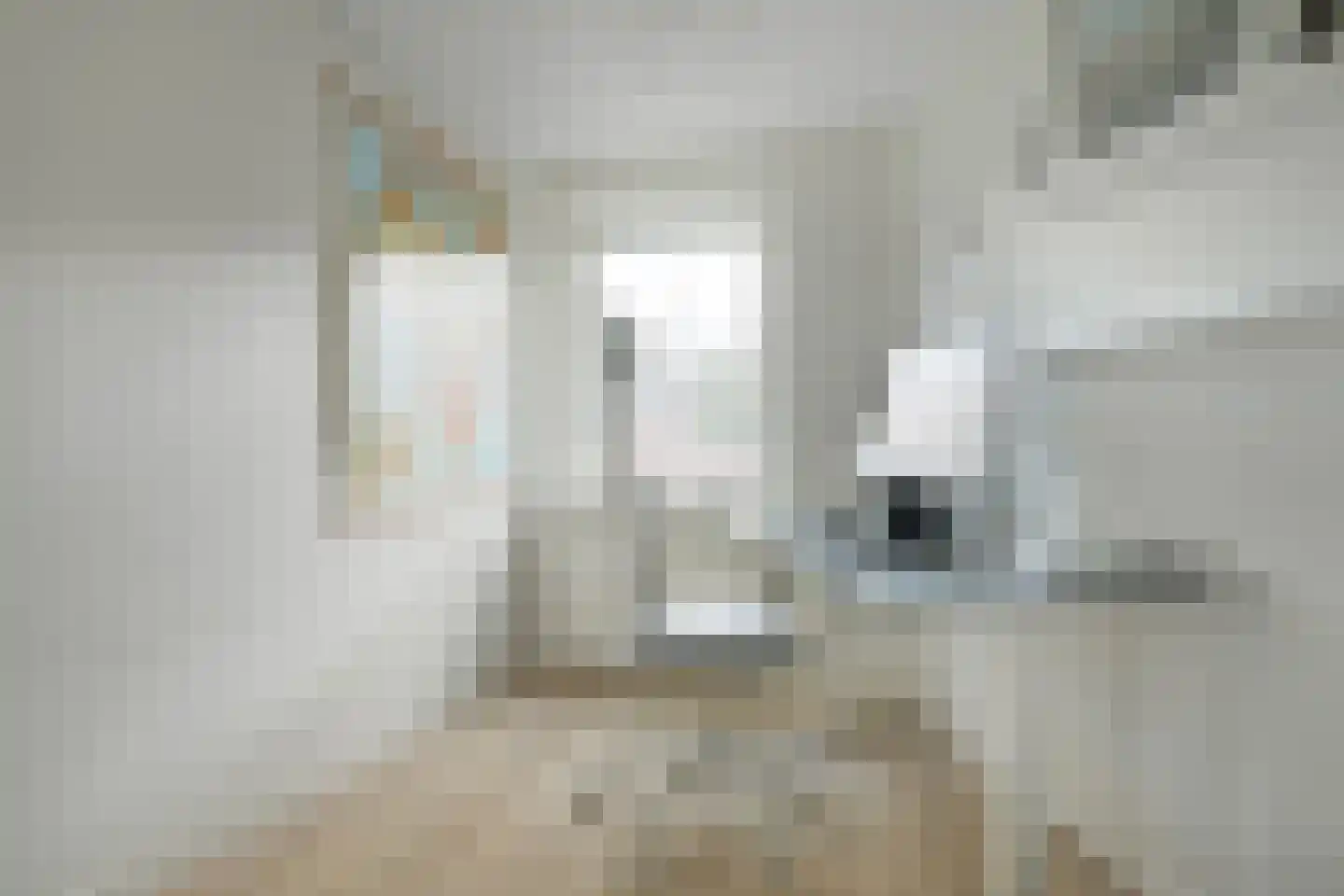 Hoge Steenweg 17 Breda thumbnail 32