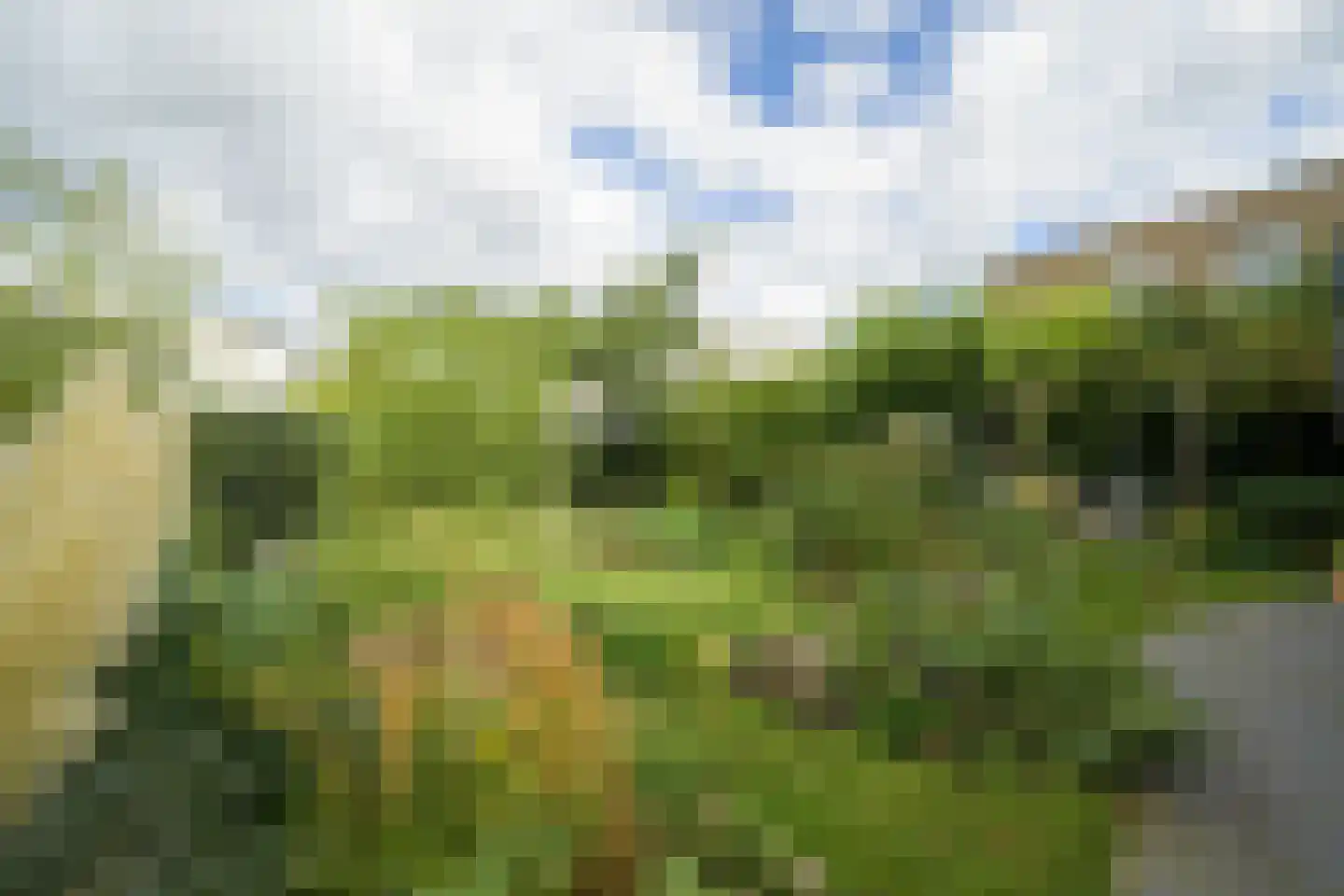 Hoge Steenweg 17 Breda thumbnail 43