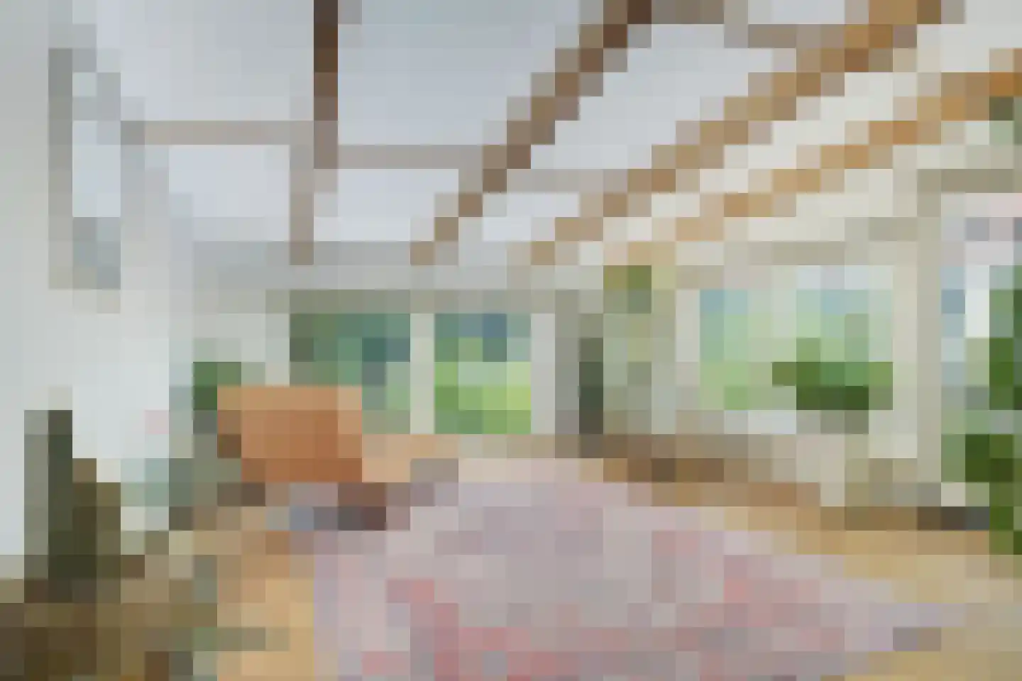 Hoge Steenweg 17 Breda thumbnail 5