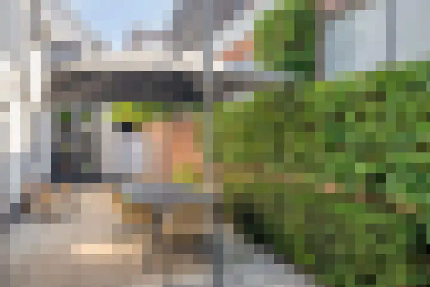 Hoge Steenweg 39 Loon op Zand thumbnail 37
