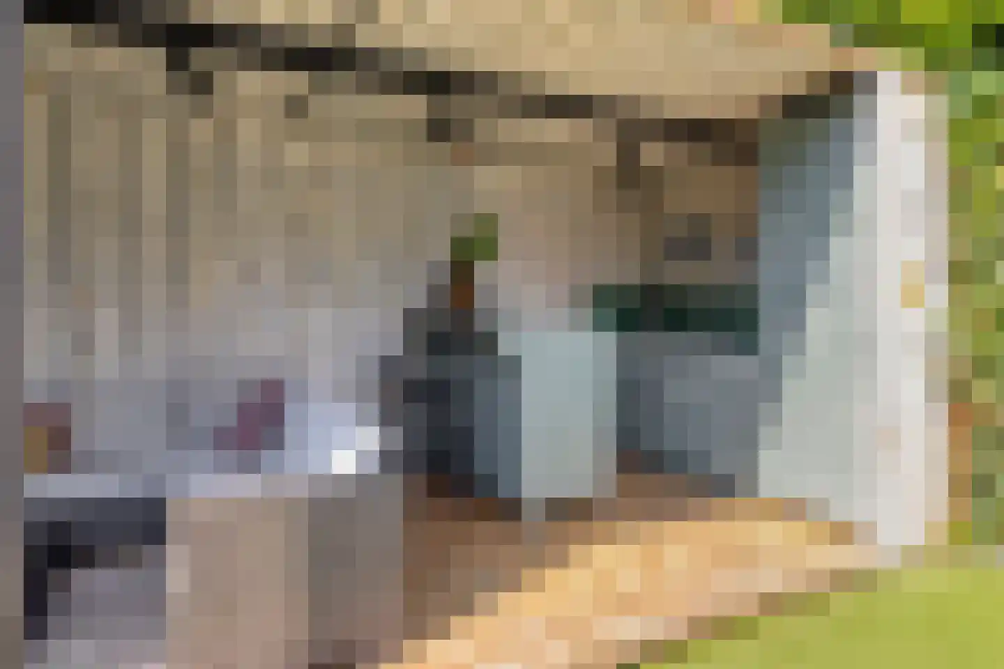 Hoge Steenweg 39 Loon op Zand thumbnail 39