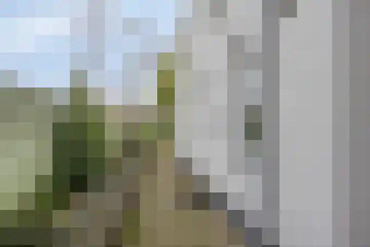 Hoge Steenweg 50 Loon op Zand thumbnail 24
