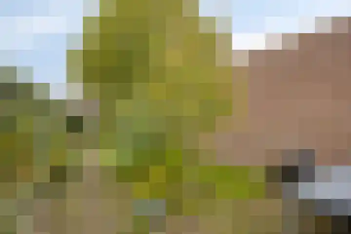 Hoge Steenweg 50 Loon op Zand thumbnail 25