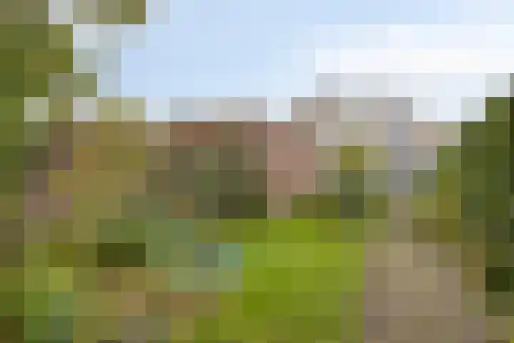 Hoge Steenweg 50 Loon op Zand thumbnail 26