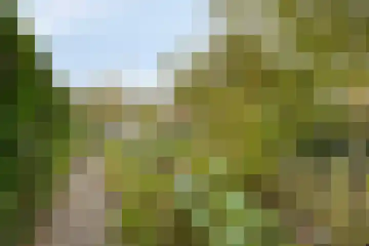 Hoge Steenweg 50 Loon op Zand thumbnail 28