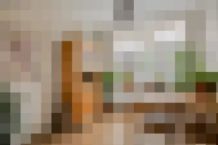 Hoge Steenweg 50 Loon op Zand thumbnail 5