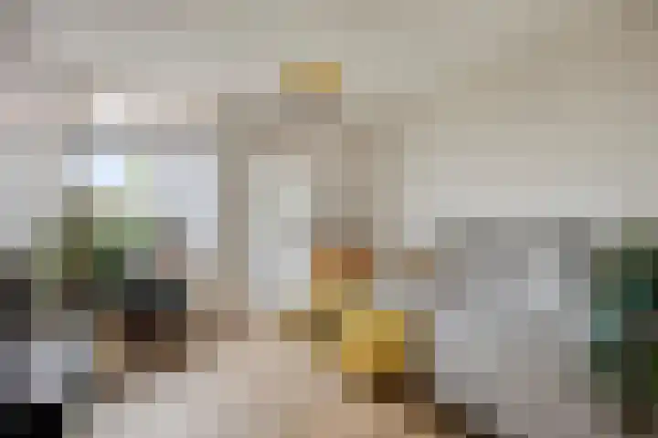 Hoge Steenweg 50 Loon op Zand thumbnail 7