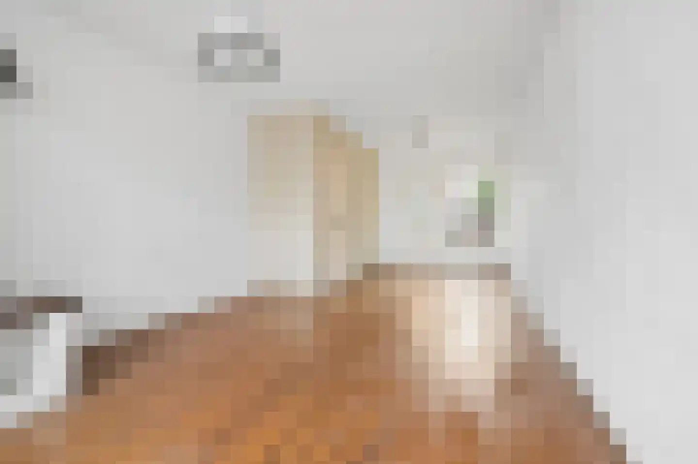 Hoge Steenweg 61 Breda thumbnail 10