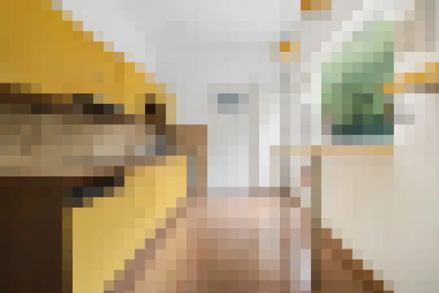 Hoge Steenweg 61 Breda thumbnail 4