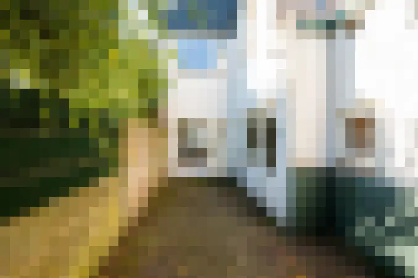 Hoge Steenweg 61 Breda thumbnail 6