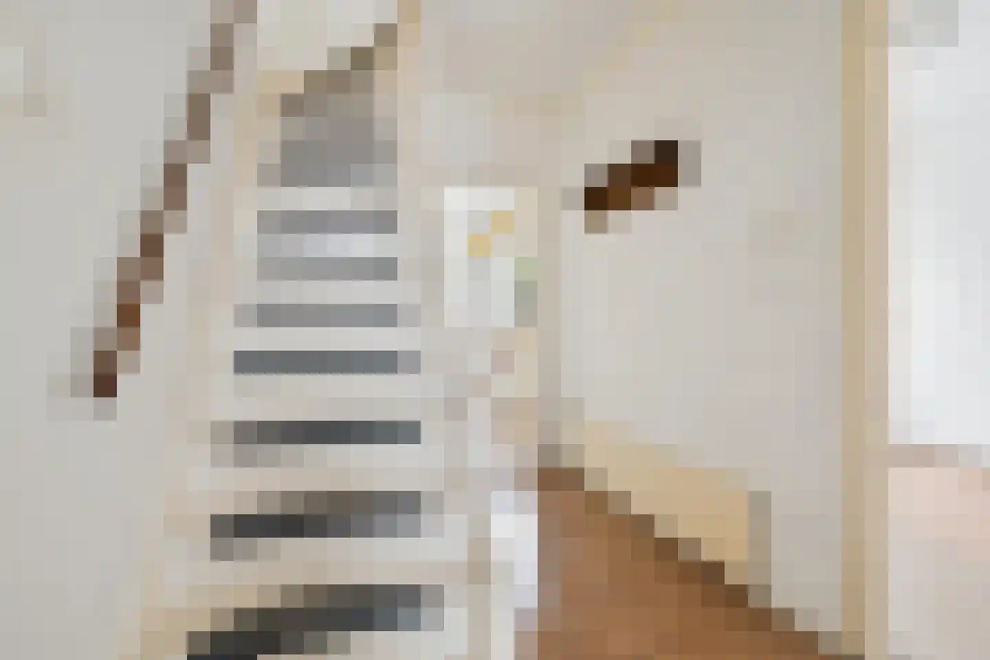 Hoge Steenweg 61 Breda thumbnail 9