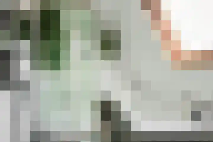 Hoge Steenweg 75 A Breda thumbnail 37