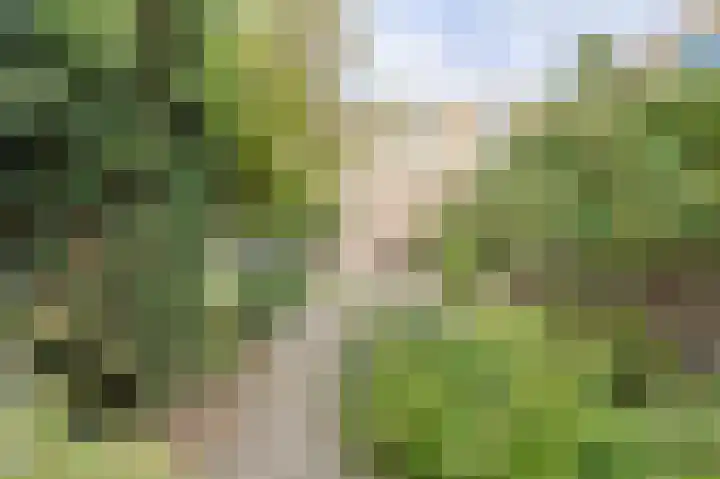 Hoge Steenweg 75 A Breda thumbnail 43