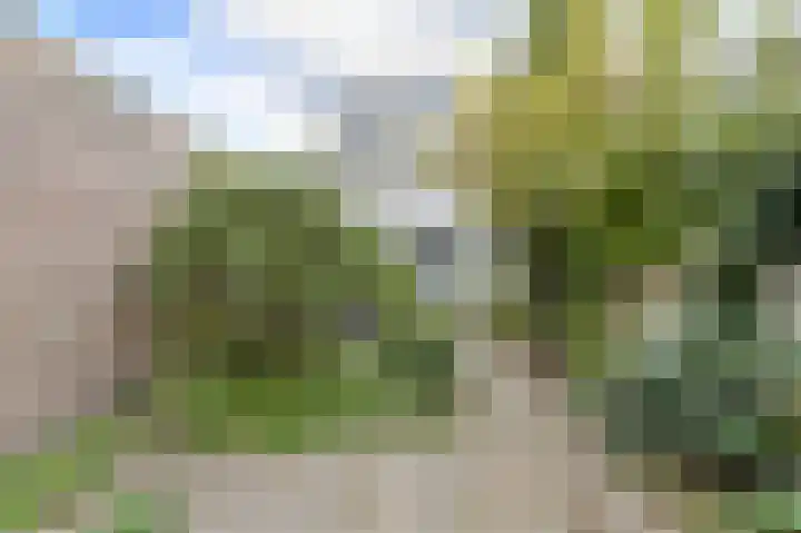 Hoge Steenweg 75 A Breda thumbnail 45