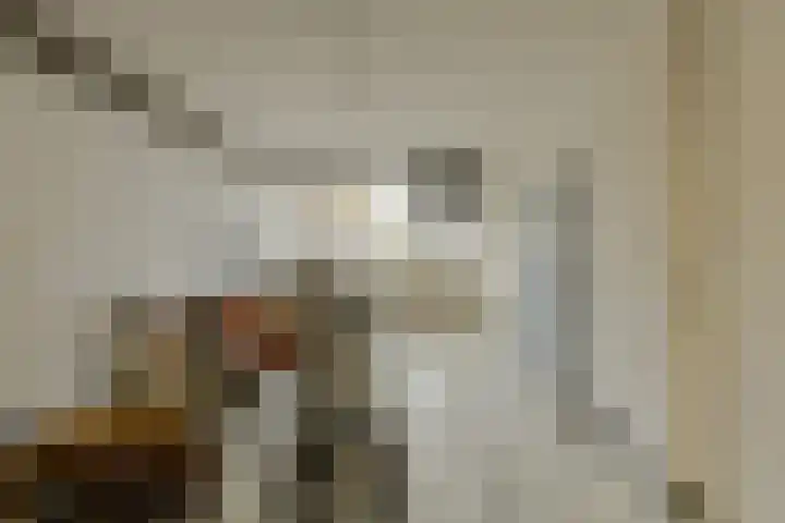 Hoge Steenweg 75 A Breda thumbnail 6