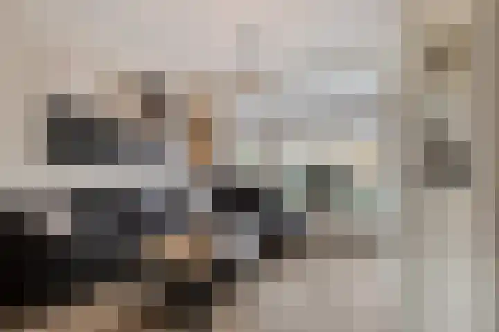 Hoge Stelle 22 Nieuw- en Sint Joosland thumbnail 11