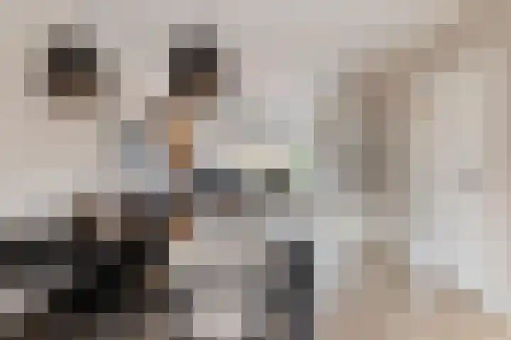 Hoge Stelle 22 Nieuw- en Sint Joosland thumbnail 12
