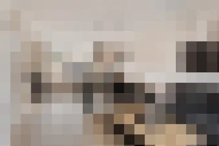 Hoge Stelle 22 Nieuw- en Sint Joosland thumbnail 13