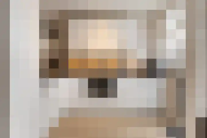Hoge Stelle 22 Nieuw- en Sint Joosland thumbnail 17