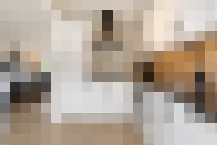 Hoge Stelle 22 Nieuw- en Sint Joosland thumbnail 19
