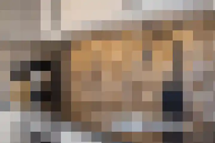 Hoge Stelle 22 Nieuw- en Sint Joosland thumbnail 20