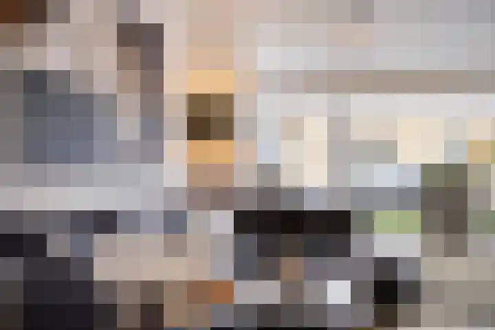 Hoge Stelle 22 Nieuw- en Sint Joosland thumbnail 22