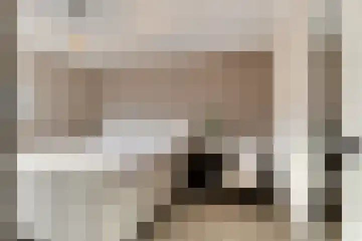 Hoge Stelle 22 Nieuw- en Sint Joosland thumbnail 24