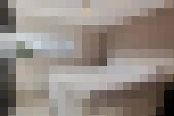 Hoge Stelle 22 Nieuw- en Sint Joosland thumbnail 25